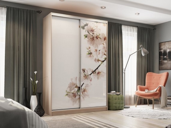 Шкаф-купе с фотопечатью