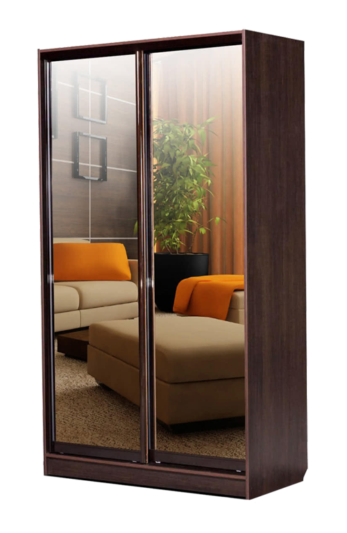 Шкафы-купе с зеркалом DUBRAVA под заказ