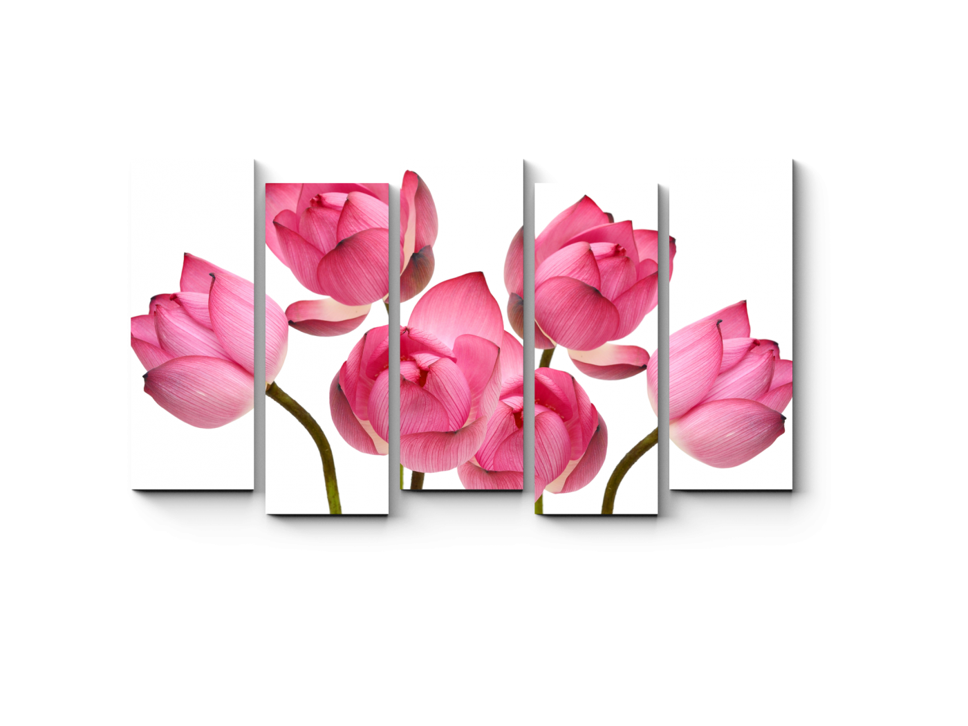 Кухни с цветами DUBRAVA под заказ